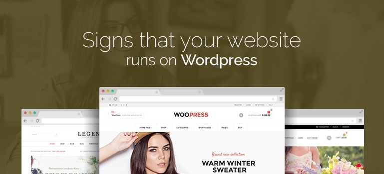 Signs That Your Website Runs on WordPress