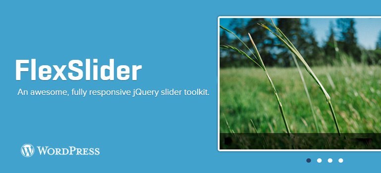 Multiple Features of Flexslider for WP Themes