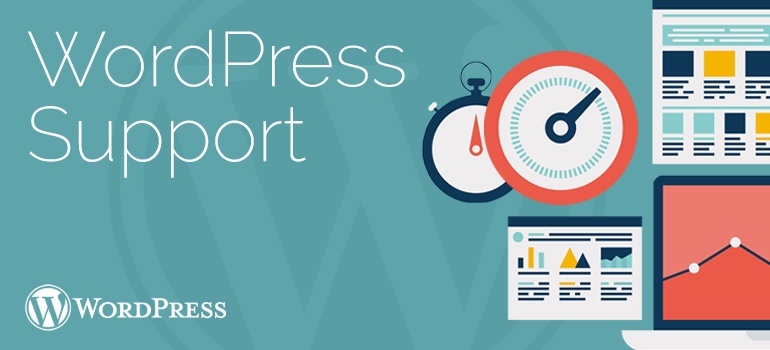 Get Professional WordPress Support for Premium Themes