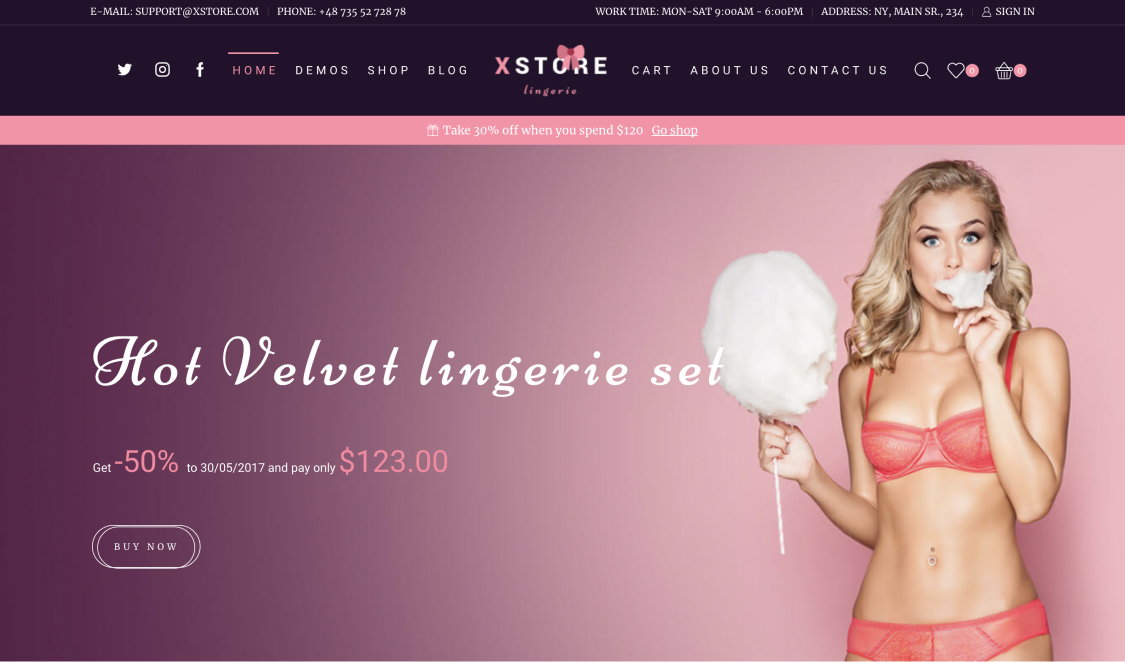 7 Lingerie WordPress Themes for Lingerie and Underwear Websites